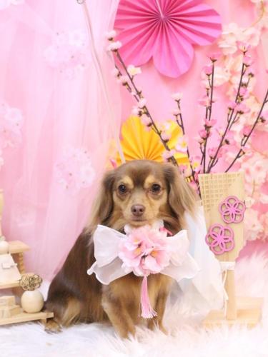 20250315いるちゃん